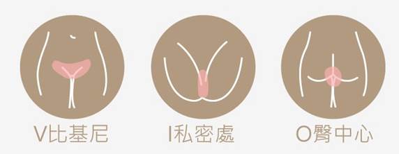 VIO除毛範圍示意圖